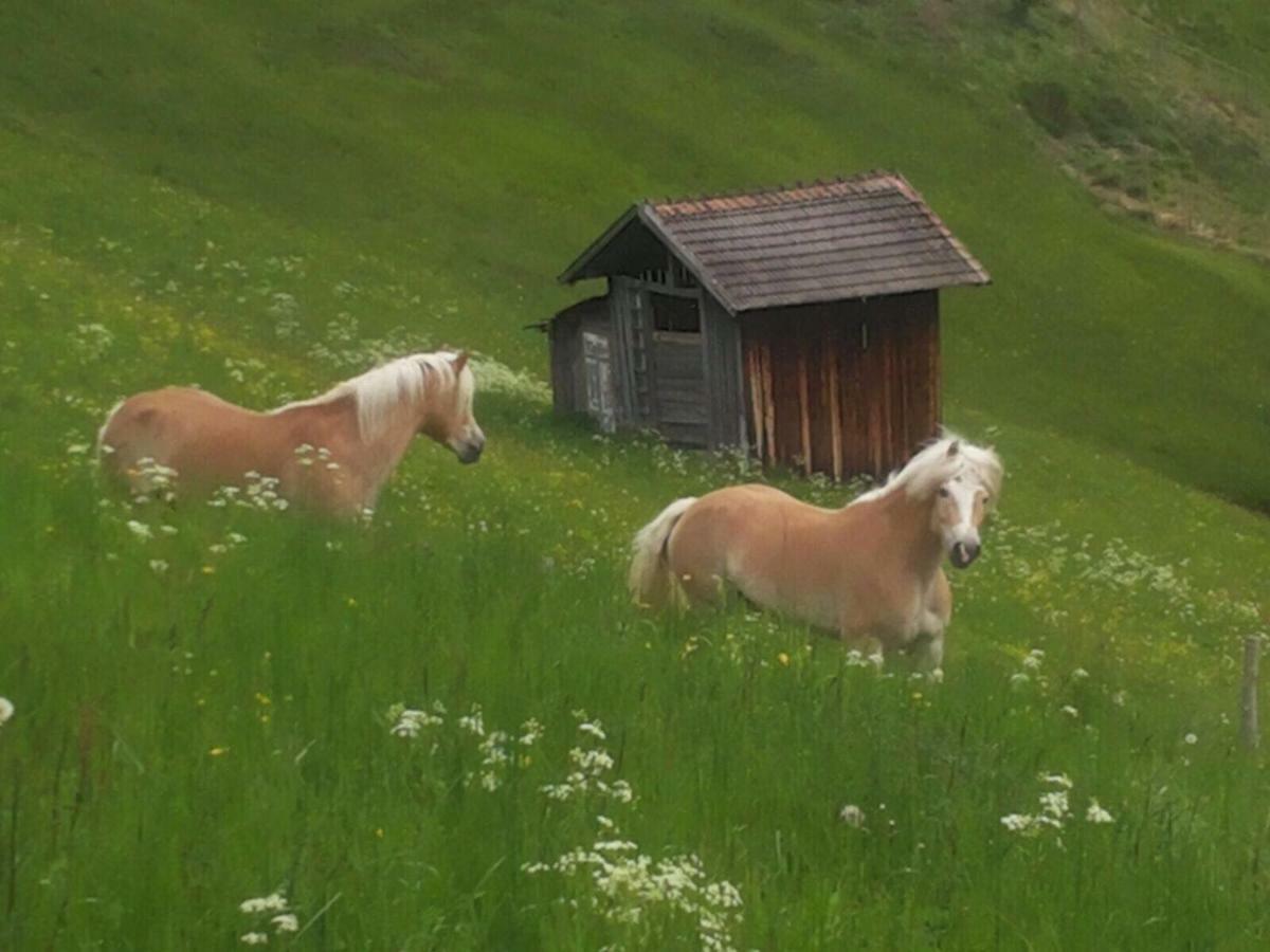 Apart.Pitztal Arzl im Pitztal Exteriör bild